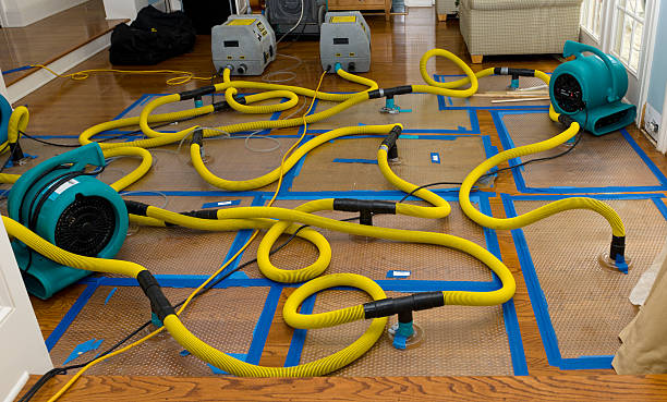 Professional Water Damage Restoration technician working in Shade, OH